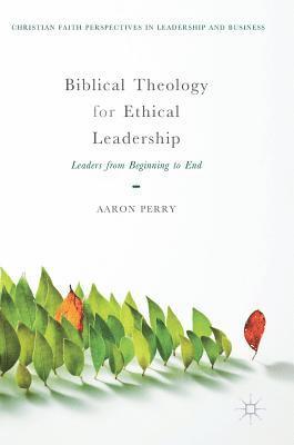 bokomslag Biblical Theology for Ethical Leadership