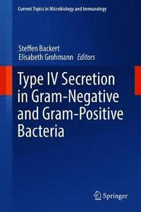 bokomslag Type IV Secretion in Gram-Negative and Gram-Positive Bacteria