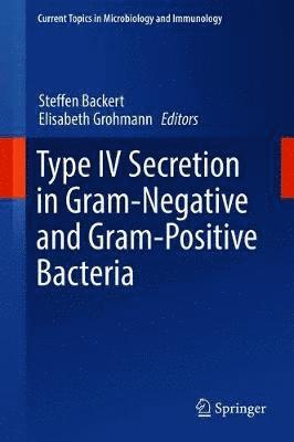 bokomslag Type IV Secretion in Gram-Negative and Gram-Positive Bacteria