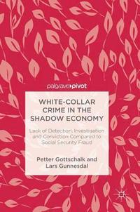 bokomslag White-Collar Crime in the Shadow Economy