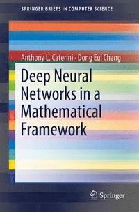 bokomslag Deep Neural Networks in a Mathematical Framework