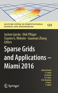 bokomslag Sparse Grids and Applications - Miami 2016
