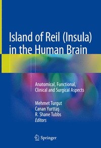 bokomslag Island of Reil (Insula) in the Human Brain