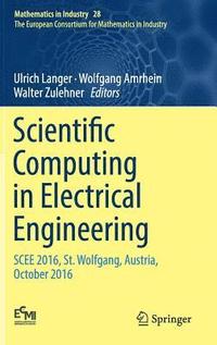 bokomslag Scientific Computing in Electrical Engineering