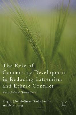 bokomslag Role of Community Development in Reducing Extremism and Ethnic Conflict