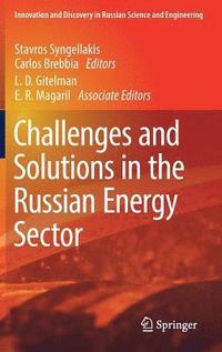 bokomslag Challenges and Solutions in the Russian Energy Sector