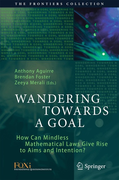 Anthony Aguirre, Brendan Foster, Zeeya Merali - Wandering Towards a Goal, Inbunden