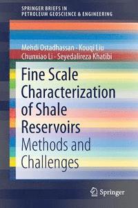 bokomslag Fine Scale Characterization of Shale Reservoirs