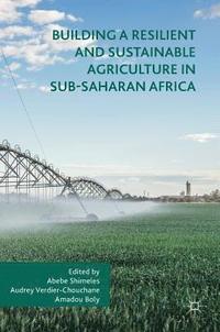 bokomslag Building a Resilient and Sustainable Agriculture in Sub-Saharan Africa