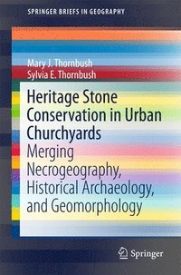 bokomslag Heritage Stone Conservation in Urban Churchyards