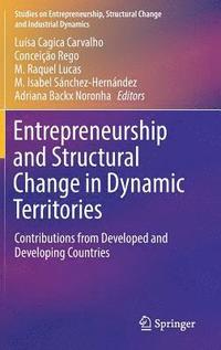 bokomslag Entrepreneurship and Structural Change in Dynamic Territories