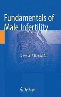 bokomslag Fundamentals of Male Infertility