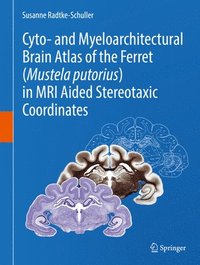 bokomslag Cyto- and Myeloarchitectural Brain Atlas of the Ferret (Mustela putorius) in MRI Aided Stereotaxic Coordinates
