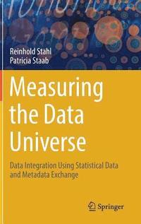 bokomslag Measuring the Data Universe