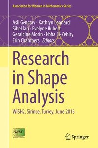 bokomslag Research in Shape Analysis