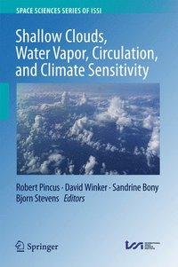bokomslag Shallow Clouds, Water Vapor, Circulation, and Climate Sensitivity