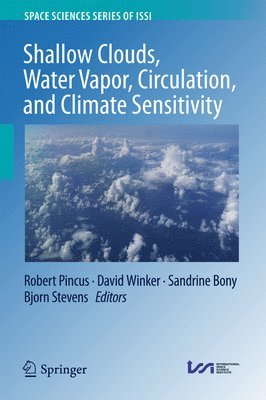 Shallow Clouds, Water Vapor, Circulation, and Climate Sensitivity 1
