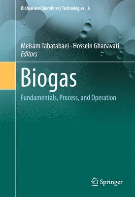 Meisam Tabatabaei, Hossein Ghanavati - Biogas, Inbunden