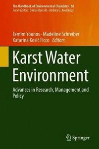bokomslag Karst Water Environment