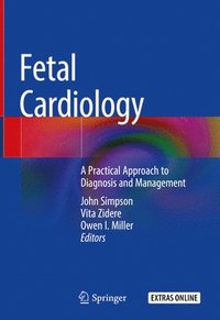 bokomslag Fetal Cardiology