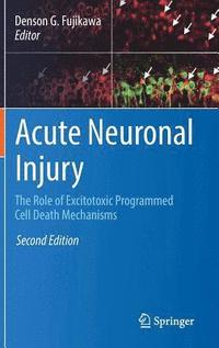 bokomslag Acute Neuronal Injury