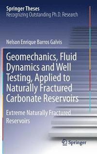 bokomslag Geomechanics, Fluid Dynamics and Well Testing, Applied to Naturally Fractured Carbonate Reservoirs
