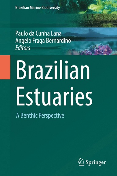 bokomslag Brazilian Estuaries