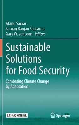 bokomslag Sustainable Solutions for Food Security