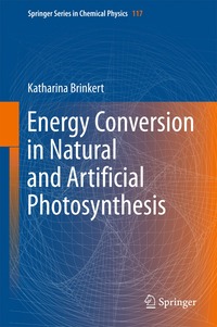 bokomslag Energy Conversion in Natural and Artificial Photosynthesis