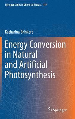 bokomslag Energy Conversion in Natural and Artificial Photosynthesis