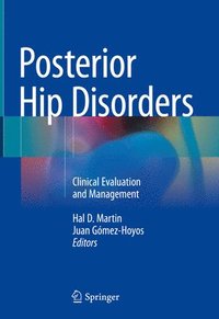 bokomslag Posterior Hip Disorders