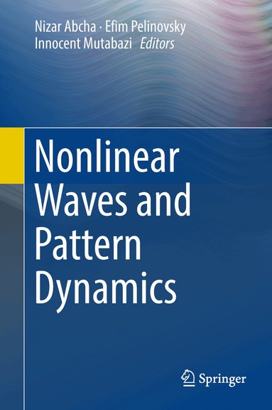 Nizar Abcha, Efim Pelinovsky, Innocent Mutabazi - Nonlinear Waves and Pattern Dynamics, Inbunden