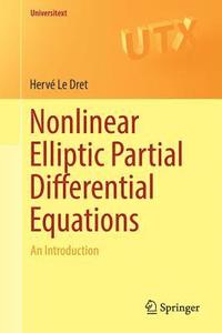 bokomslag Nonlinear Elliptic Partial Differential Equations