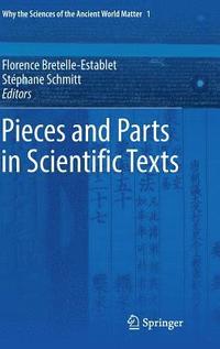 bokomslag Pieces and Parts in Scientific Texts