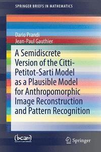 bokomslag A Semidiscrete Version of the Citti-Petitot-Sarti Model as a Plausible Model for Anthropomorphic Image Reconstruction and Pattern Recognition