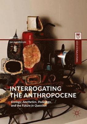 bokomslag Interrogating the Anthropocene