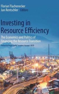 bokomslag Investing in Resource Efficiency