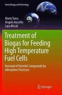 bokomslag Treatment of Biogas for Feeding High Temperature Fuel Cells