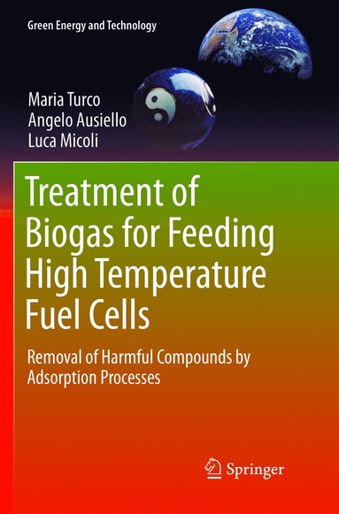 bokomslag Treatment of Biogas for Feeding High Temperature Fuel Cells