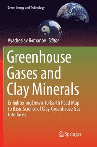 bokomslag Greenhouse Gases and Clay Minerals