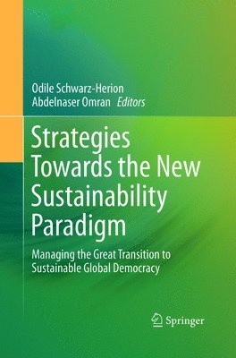 bokomslag Strategies Towards the New Sustainability Paradigm