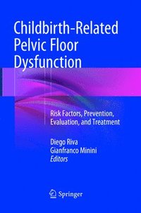 bokomslag Childbirth-Related Pelvic Floor Dysfunction