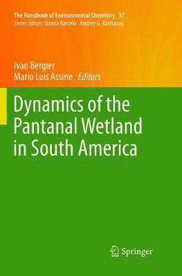 bokomslag Dynamics of the Pantanal Wetland in South America