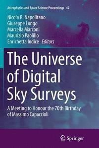 bokomslag The Universe of Digital Sky Surveys