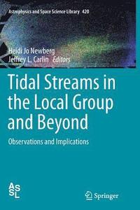 bokomslag Tidal Streams in the Local Group and Beyond