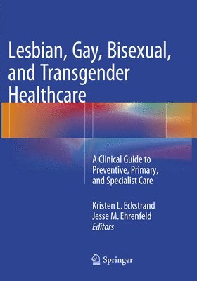 bokomslag Lesbian, Gay, Bisexual, and Transgender Healthcare