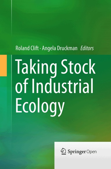 Roland Clift, Angela Druckman - Taking Stock of Industrial Ecology, Häftad
