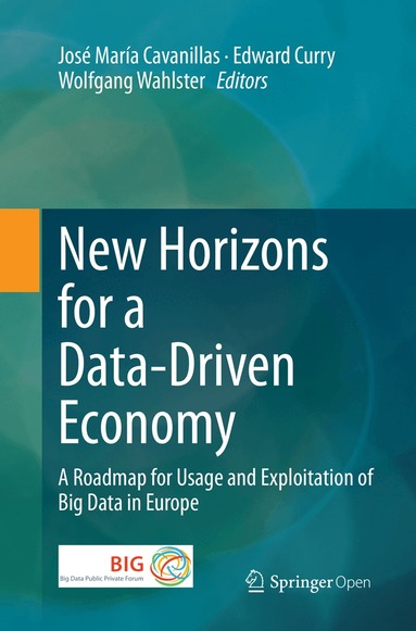José María Cavanillas, Edward Curry, Wolfgang Wahlster - New Horizons for a Data-Driven Economy, Häftad