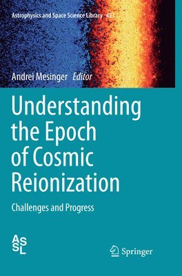 bokomslag Understanding the Epoch of Cosmic Reionization