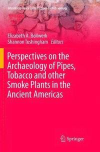 bokomslag Perspectives on the Archaeology of Pipes, Tobacco and other Smoke Plants in the Ancient Americas